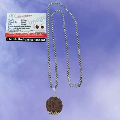 Shade Creation Original 05 five Mukhi Rudraksha/Natural 05 Face ...