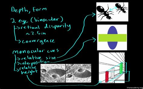 Depth Perception 的图像结果