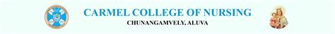 AIMSET Medical Scholarship for Carmel college of nursing