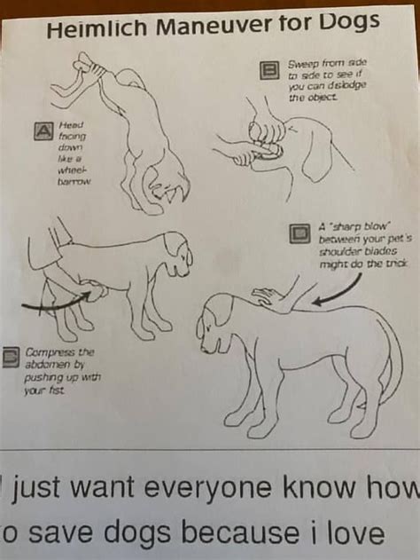 Help Me Sign Language 的图像结果