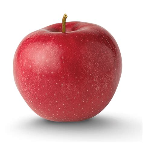 Image result for Apple Basic Programming Example