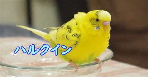 Image result for Short Notes Sticker