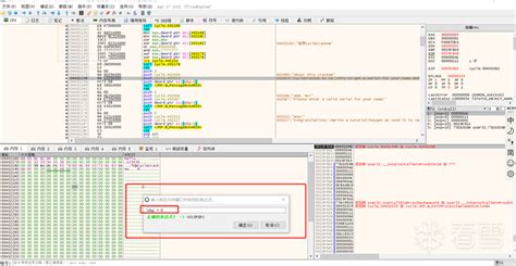 X64dbg Tutorial 的图像结果