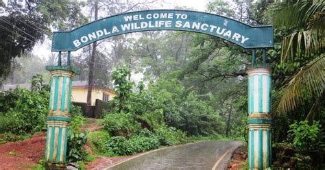 Bondla Wildlife Sanctuary | WhatsHot Goa