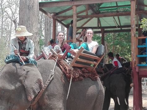 PHO KYAR ELEPHANT CAMP (2026) All You Need to Know BEFORE You Go (with ...