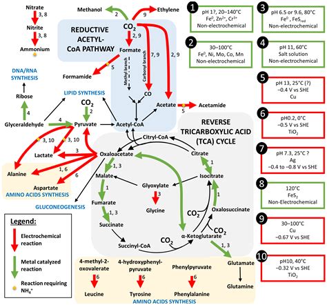 Spark of Life: Role of Electrotrophy in the Emergence of Life