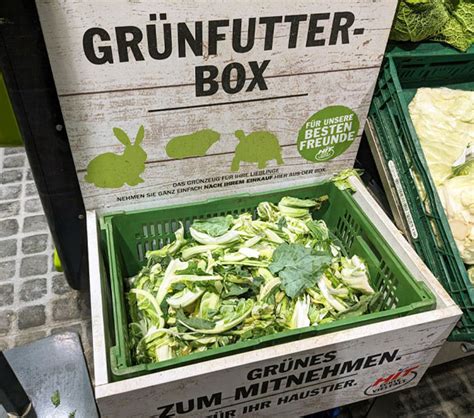 Image result for Zero Waste Hack