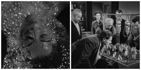 Image result for Alien Plants Horror