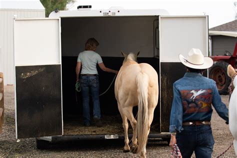 Horse Trailer Loading Tips at Twila Timmons blog
