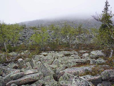 Ruuvaoja Tourism: All You Need to Know Before You Go (2024)