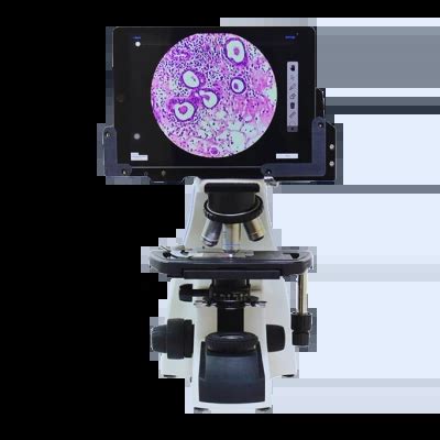 Manufacturer , Exporters and Suppliers of Microscopes from India ...