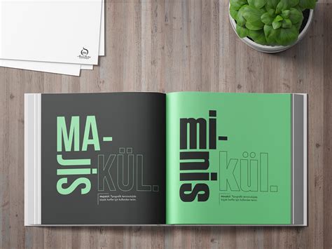 Image result for Intro Book Page Design