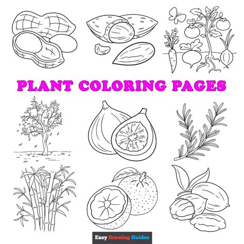 Coloring Pages Plants [2025]