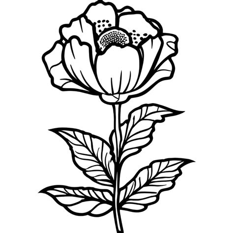 Pretty Poppy Flower coloring page - Download, Print or Color Online for ...