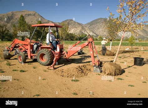 Image result for Backhoe Digging Hole
