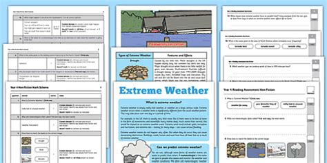 Year 4 Term 3 Non-Fiction Reading Assessment