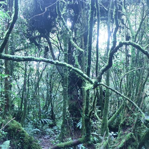 MOUNT BEREMBUN - All You Need to Know BEFORE You Go (with Photos ...