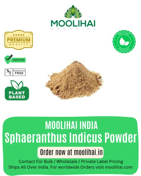Indian Sphaeranthus Indicus Powder/ Gorakhmundi / Kottai karantai ...