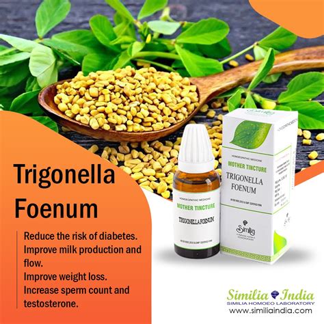 SIMILIA INDIA MOTHER TINCTURE FENUGREEK Q