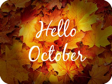 District 5 eNews - October 2022 #1 NEWS, NEW NEWS!!!!