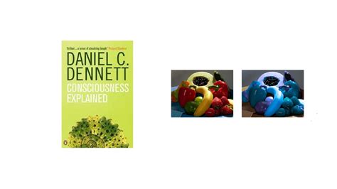 Image result for Qualia Explained