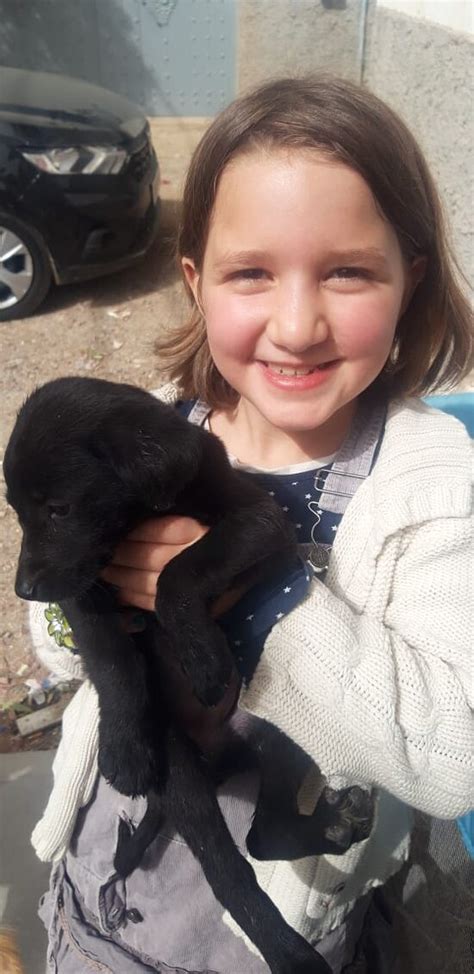 HEY YALLAH, Tamraght - Restaurant Reviews & Photos - Tripadvisor