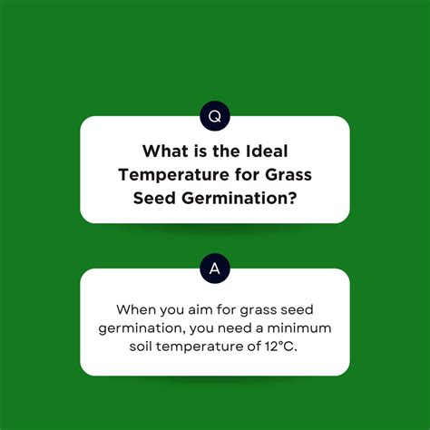 Grass Seed Germination: A Guide for Beginner Gardeners