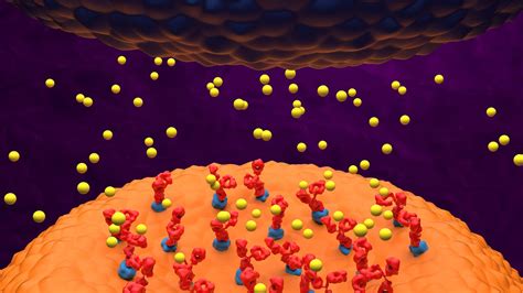 Addressing Juvenile Generalized Myasthenia Gravis | MedPage Today