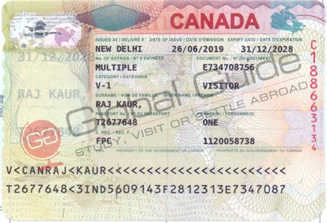 Study Visa Consultant in Mohali, PR Visa Consultant in Mohali, Business ...