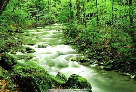 早晨森林中的美丽小溪瀑布海报背景背景图片下载_1920x873像素JPG格式_编号1pyf2nqw1_图精灵