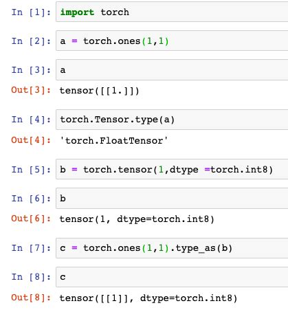 Image result for Pytorch Type