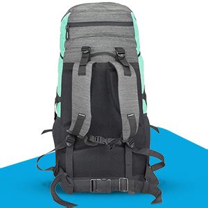 Buy Fastrack 45 Ltrs Green Rucksack (A0725NGR01) at Amazon.in