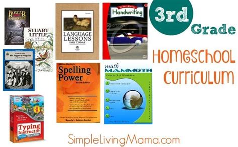 Image result for 3rd Standard Lessons