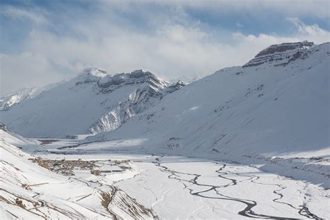 The Grey Ghost Of The Himalayas - slide5 | Nature inFocus