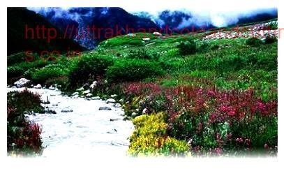Valley of Flowers | Trek, National Park, Ghangaria, Climate, Hemkund