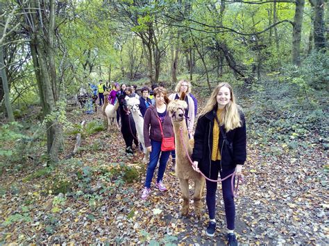 HOLLY HAGG COMMUNITY FARM (2026) All You Need to Know BEFORE You Go ...