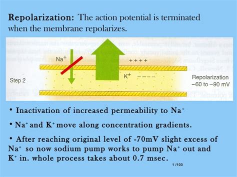 Local Anesthesia Examples 的图像结果