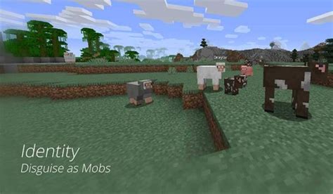 Image result for Minecraft Identity Device Mod
