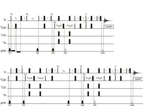 Image result for Programme an HSQC Pulse Program