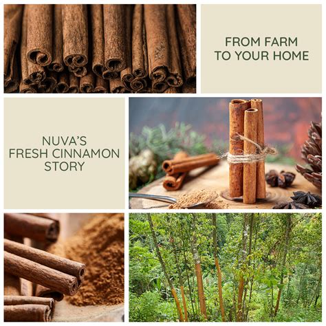 From Farm to Your Home: The Nuva Fresh Cinnamon Story – Nuva Nutrition