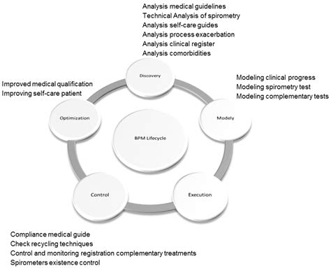 Application of the BPM Strategy to the Management of the COPD Clinical ...