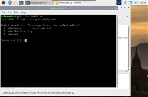 Raspberry Growing Time-Lapse 的图像结果