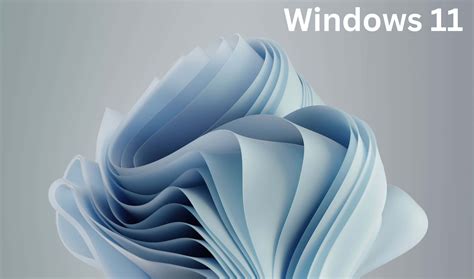 Windows 的图像结果