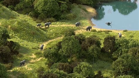 Global Wildlife Rescue and Conservation Centre in Jamnagar | Vantara