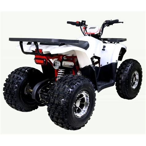 Tao Tao, Raptor 125 Quad à Essence (4 Temps) (125cc) — Turbokids.ca
