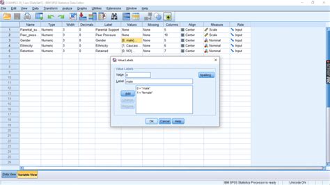 Image result for Scale Variable Examples SPSS