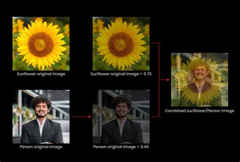 Image result for Data Augmentation for Computer Vision
