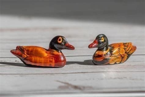 Feng Shui Mandarin Ducks: Types& How to Keep Mandarin Ducks at Home