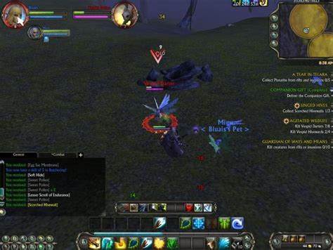 Image result for Macro Mouse Over Explication