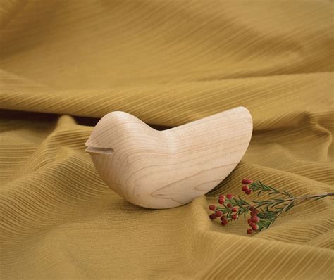 Image result for Bird Contorting